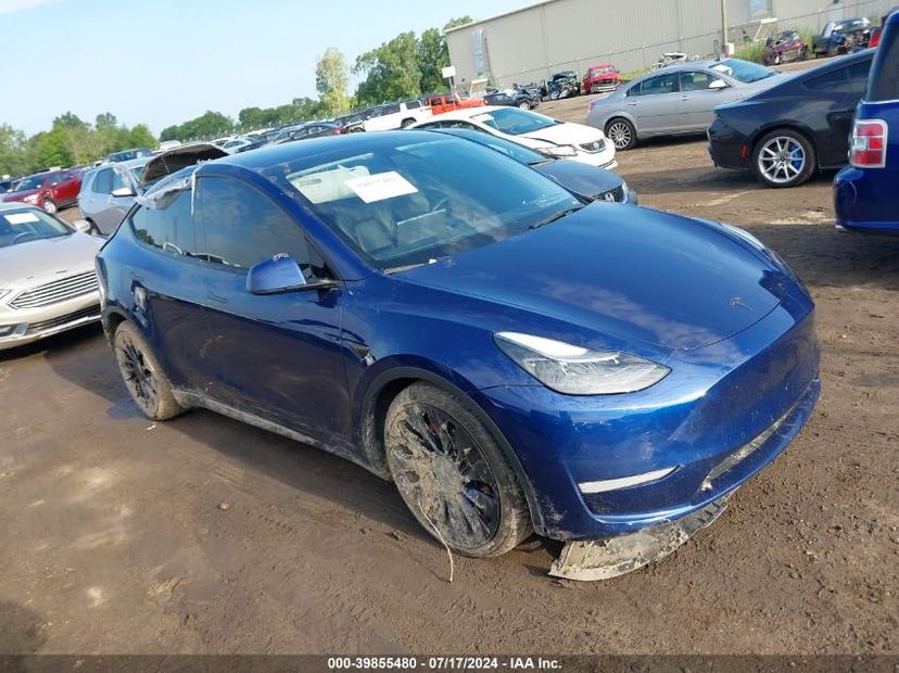 TESLA MODEL Y