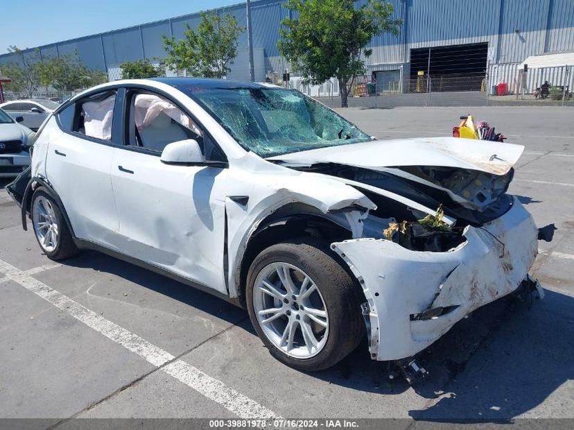 TESLA MODEL Y