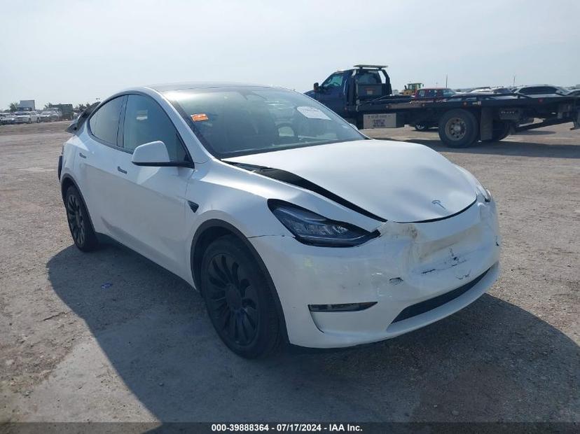 TESLA MODEL Y