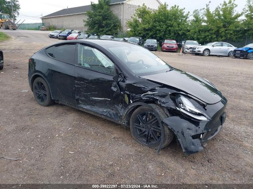 TESLA MODEL Y