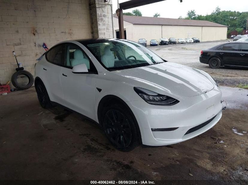 TESLA MODEL Y