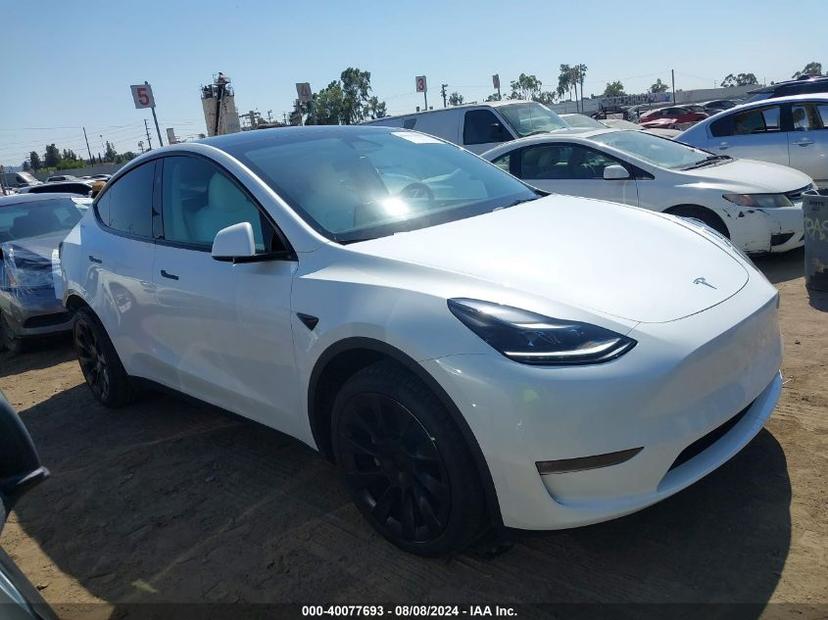 TESLA MODEL Y