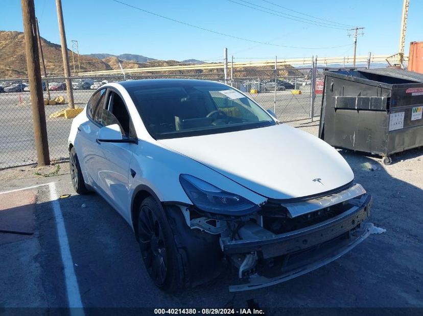 TESLA MODEL Y