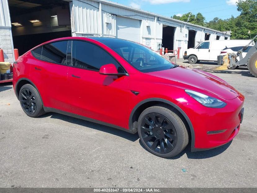 TESLA MODEL Y