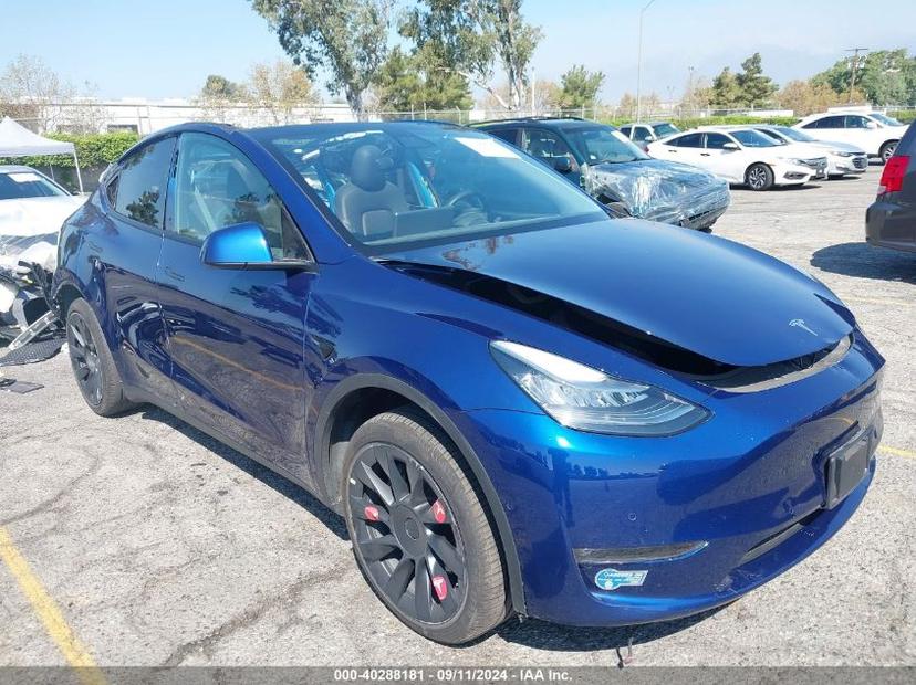 TESLA MODEL Y