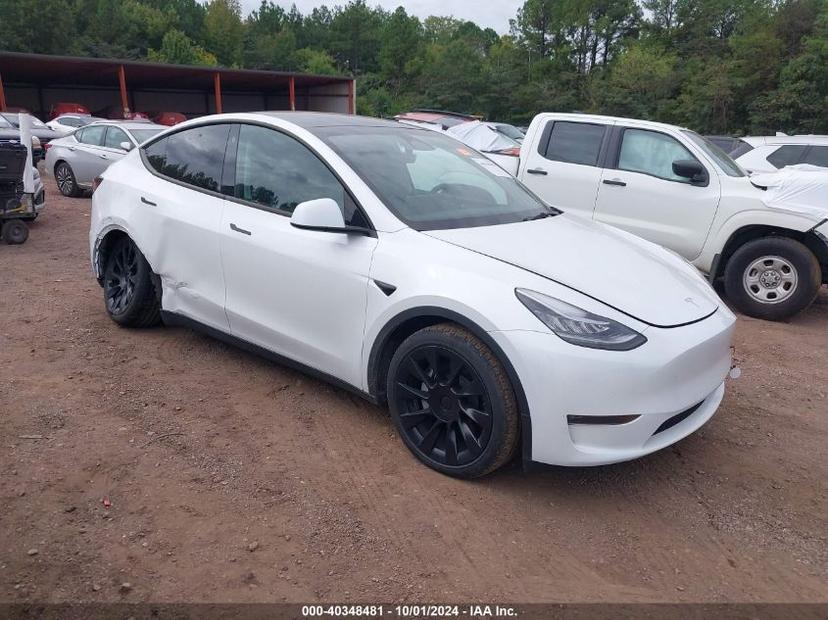 TESLA MODEL Y