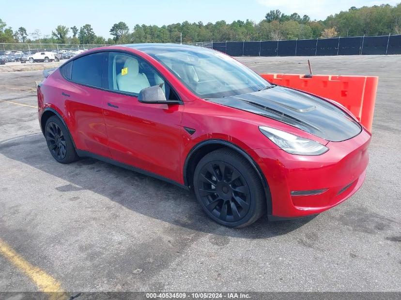 TESLA MODEL Y