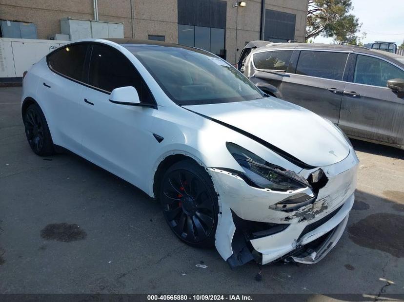 TESLA MODEL Y