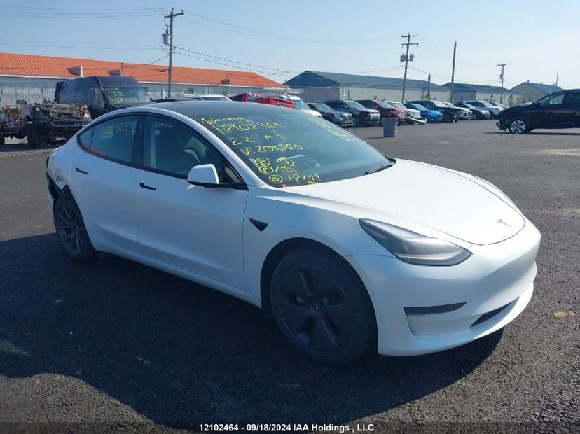 TESLA MODEL 3